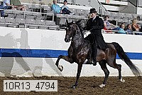 10r13_4794 thumbnail