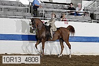10r13_4808 thumbnail
