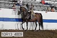 10r13_4809 thumbnail