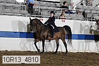 10r13_4810 thumbnail