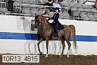 10r13_4815 thumbnail
