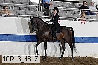 10r13_4817 thumbnail