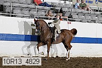 10r13_4829 thumbnail