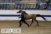 10r13_5238 thumbnail