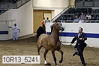 10r13_5241 thumbnail
