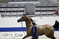 10r13_5244 thumbnail