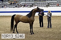 10r13_5246 thumbnail