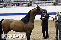 10r13_5249 thumbnail