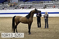 10r13_5251 thumbnail