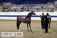 10r13_5356 thumbnail