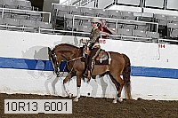 10r13_6001 thumbnail