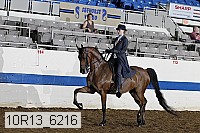 10r13_6216 thumbnail
