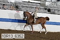 10r13_6352 thumbnail