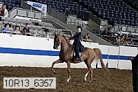 10r13_6357 thumbnail