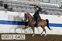 10r13_6402 thumbnail