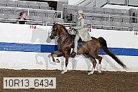 10r13_6434 thumbnail