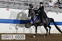 10r13_6509 thumbnail