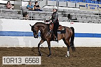 10r13_6568 thumbnail