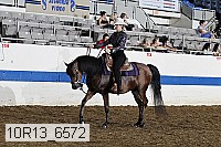 10r13_6572 thumbnail