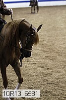 10r13_6581 thumbnail