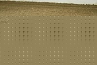 10r13_5235 thumbnail