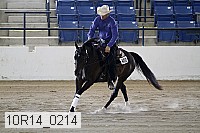 10r14_0214 thumbnail