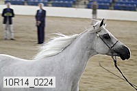 10r14_0224 thumbnail
