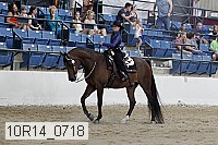10r14_0718 thumbnail