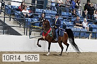 10r14_1676 thumbnail