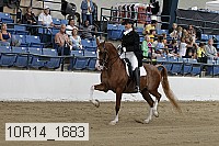 10r14_1683 thumbnail
