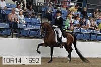 10r14_1692 thumbnail