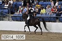 10r14_1695 thumbnail