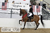 10r14_1708 thumbnail