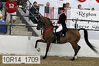 10r14_1709 thumbnail