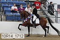 10r14_1712 thumbnail