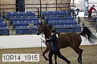 10r14_1915 thumbnail