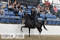 10r14_2165 thumbnail