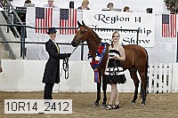 10r14_2412 thumbnail