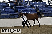 10r14_2418 thumbnail