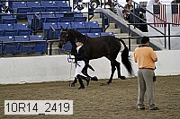 10r14_2419 thumbnail