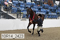 10r14_2423 thumbnail