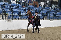 10r14_2424 thumbnail