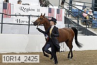 10r14_2425 thumbnail