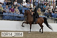 10r14_2884 thumbnail