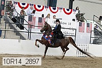 10r14_2897 thumbnail