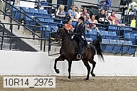 10r14_2975 thumbnail