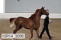 10r14_3098 thumbnail