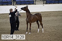 10r14_3129 thumbnail