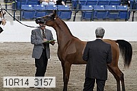 10r14_3157 thumbnail