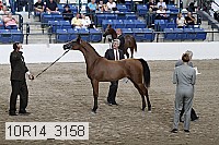 10r14_3158 thumbnail